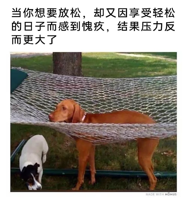 via 7号沙雕网友
