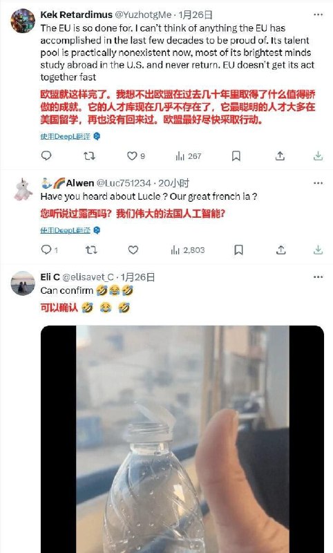 欧洲人关于deepseek的meme欧洲人关于deepseek的meme