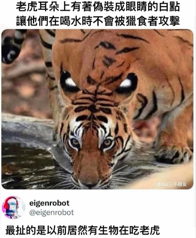 from 什麼都來點 via DECADE