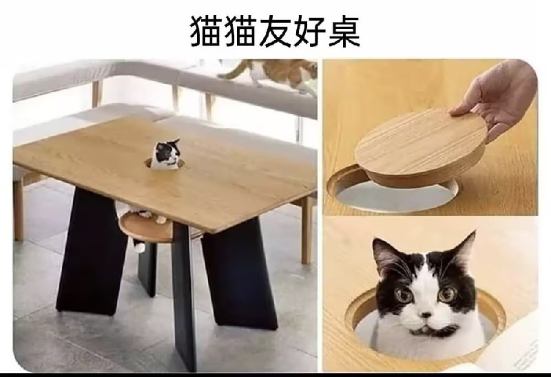 via 8号沙雕网友