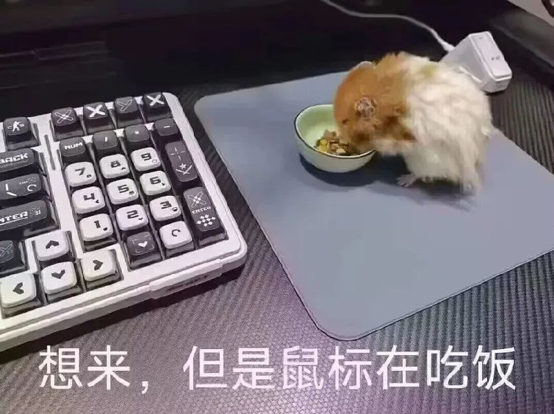from Anzu什么都发 via electri