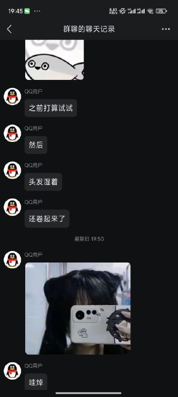 from 猫猫窝🐱from 猫猫窝🐱