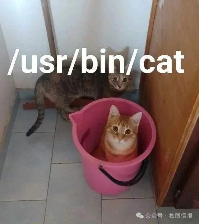 via sakana