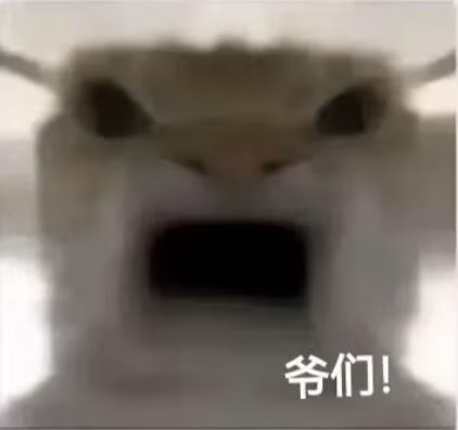 via フィリア グレイvia フィリア グレイ