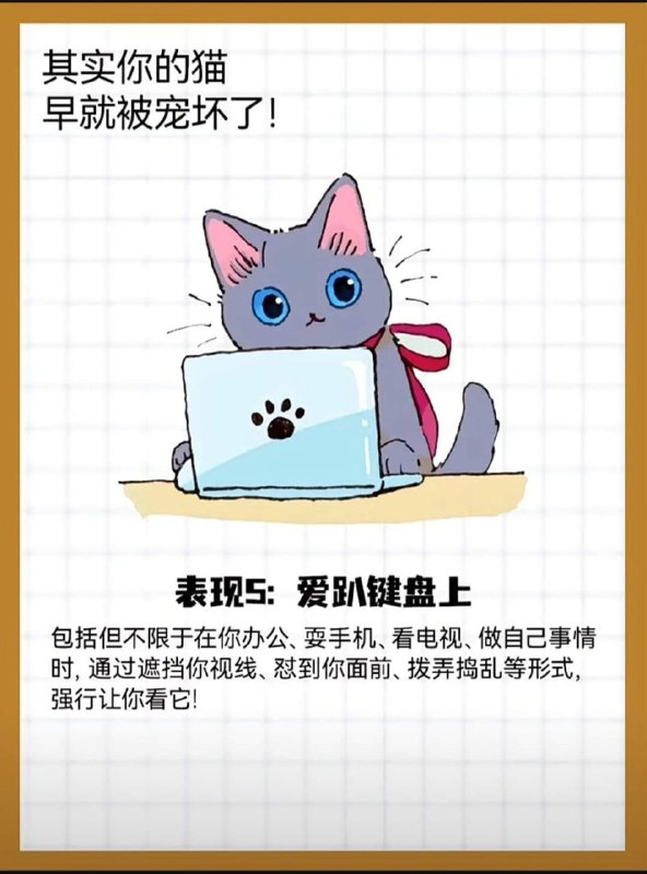from 猫猫窝🐈🐈‍⬛from 猫猫窝🐈🐈‍⬛