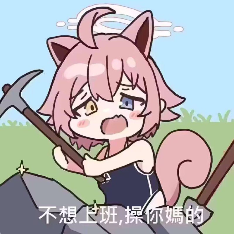 via 犯罪嫌疑人张某