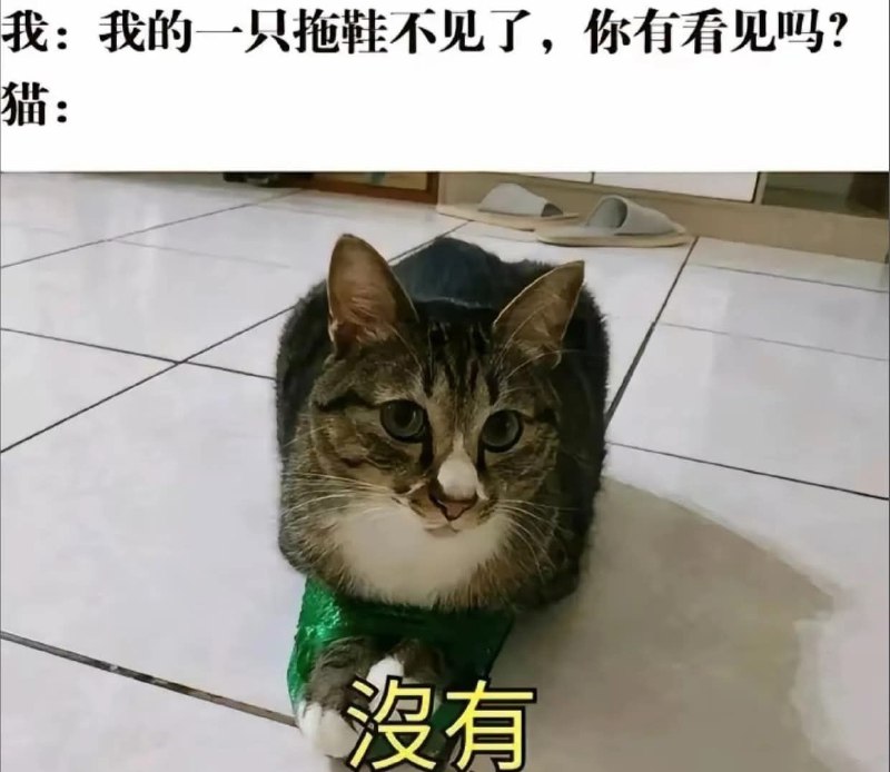 from 什麼都來點 via DECADE