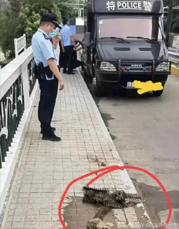 这就是钓鱼佬.除了鱼什么都能钓上来
