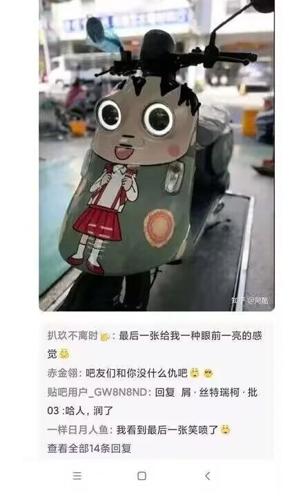 👀from 平壤卫视👀from 平壤卫视