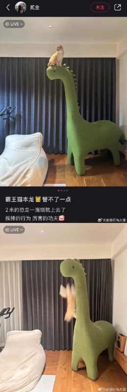 via 7号沙雕网友