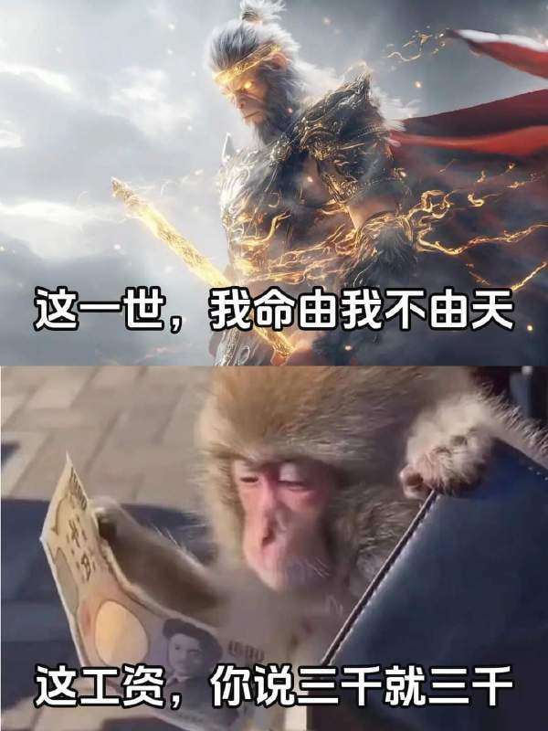 via 6号沙雕网友