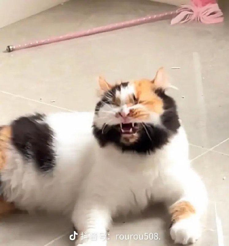 via 腊酒浑