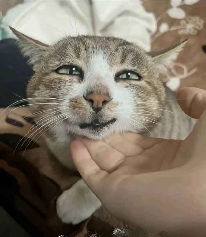 再投一次
