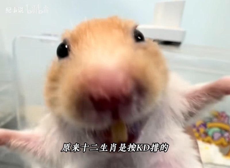via フィリア グレイ