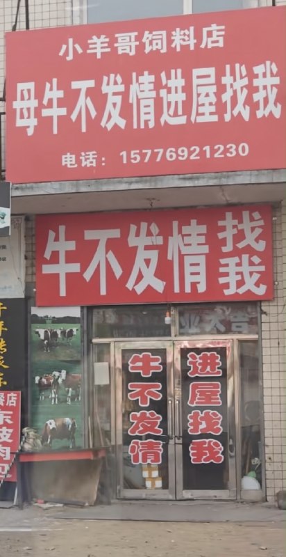 via 鸭累鸭累