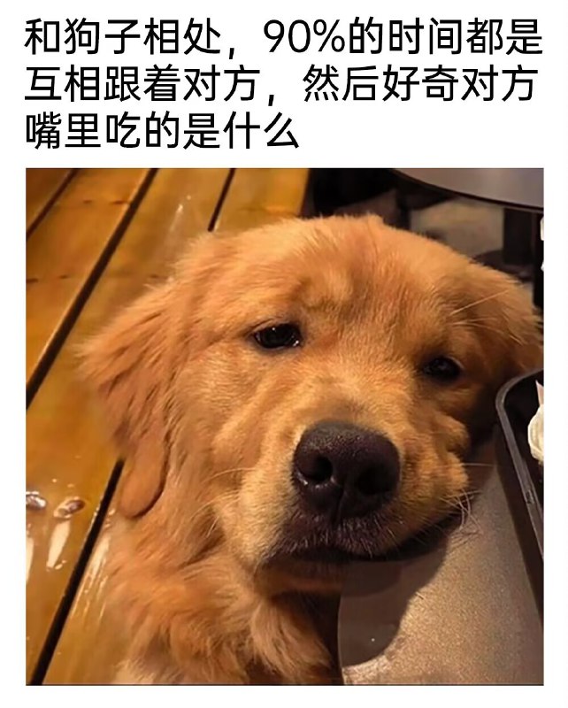 from 煎蛋无聊图