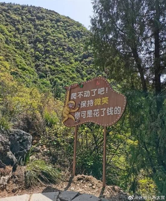 via 7号沙雕网友via 7号沙雕网友