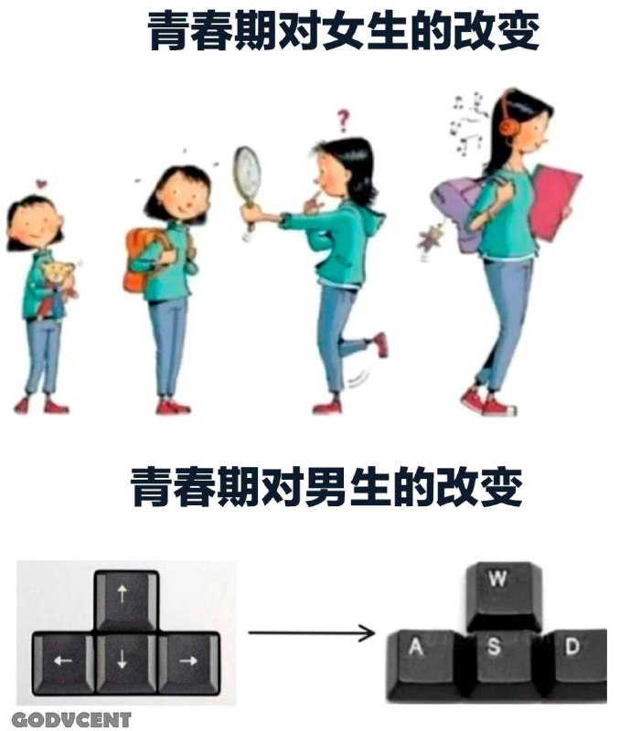 via 犯罪嫌疑人张某