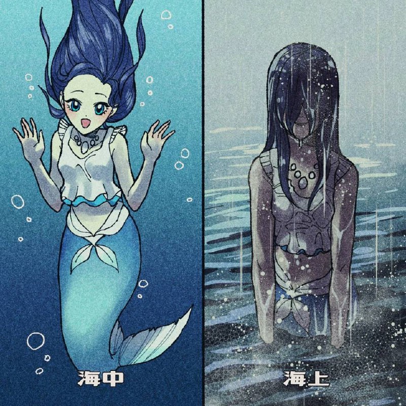 via 犯罪嫌疑人张某