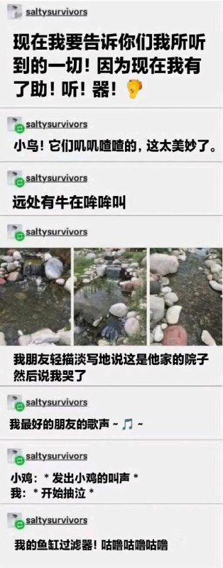 via 猫又云云