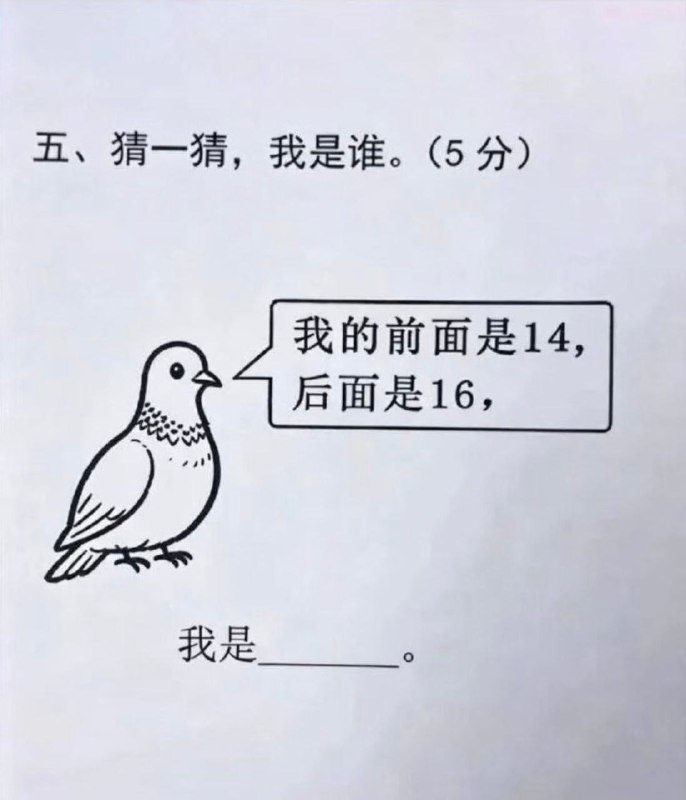 珠颈斑鸠
