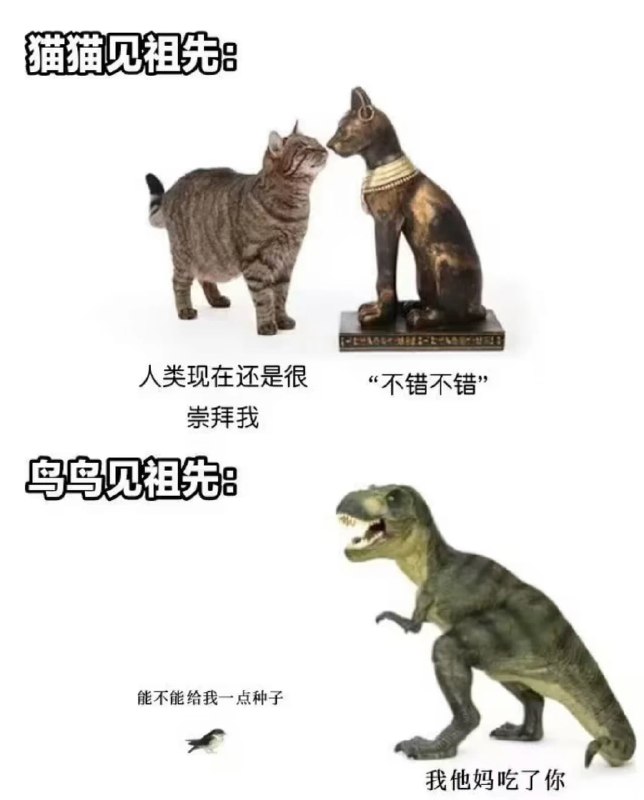 via 鸭累鸭累