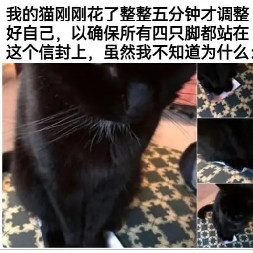 via 6号沙雕网友