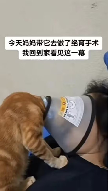 via 6号沙雕网友