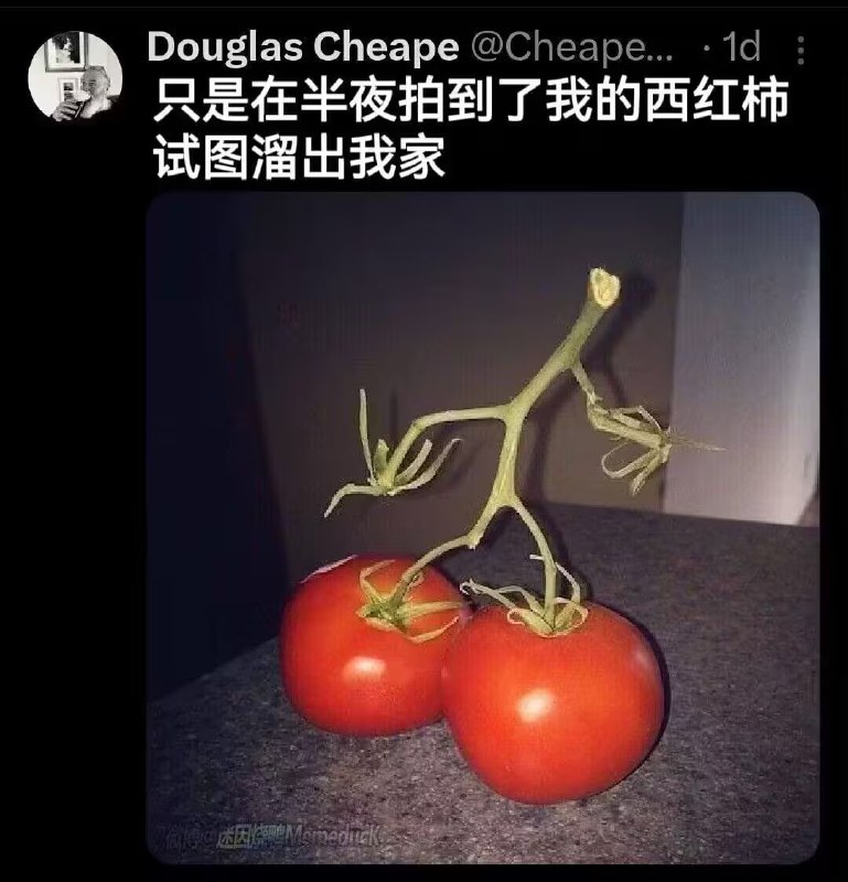 via 6号沙雕网友
