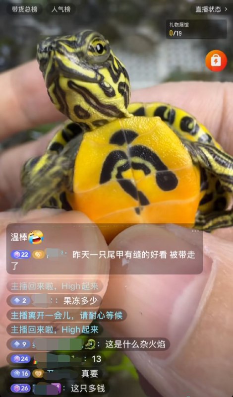 疑似故人英姿