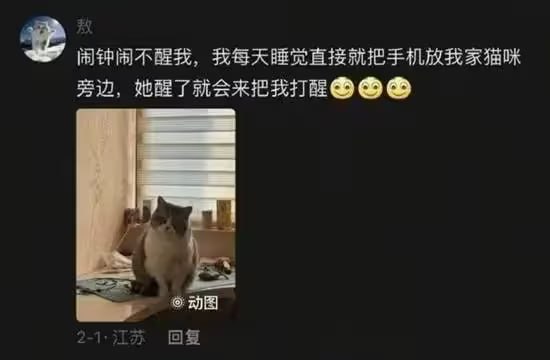 via 7号沙雕网友