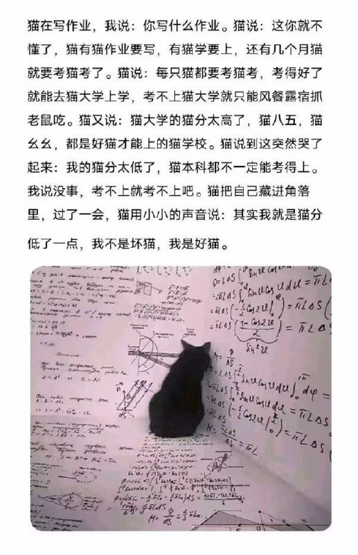 from 猫猫窝🐱