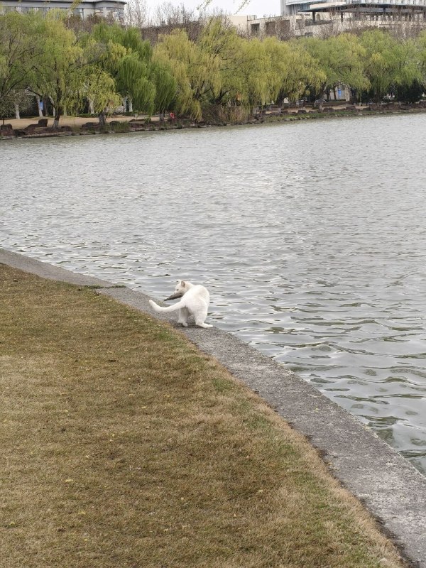 via 时月via 时月