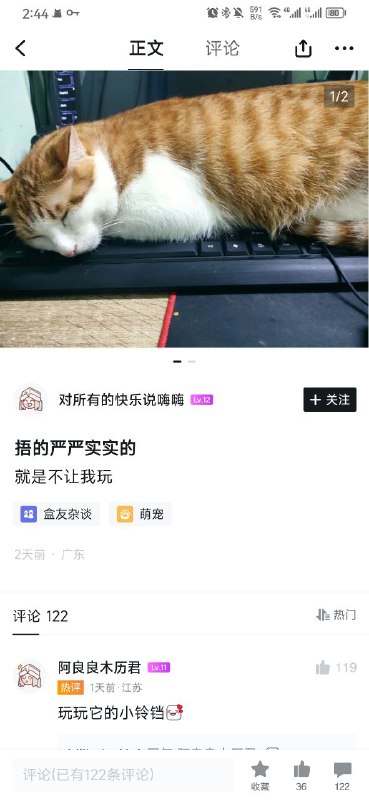 细说玩小铃铛？via Czk 半死不活
