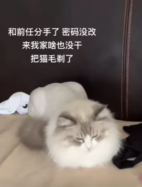 via 6号沙雕网友