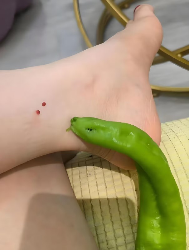 毒蛇辣椒