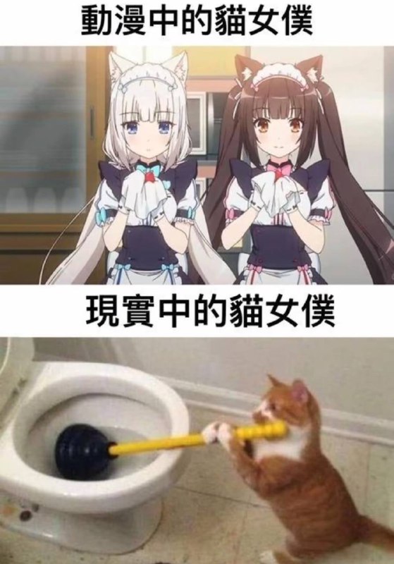 via 犯罪嫌疑人张某