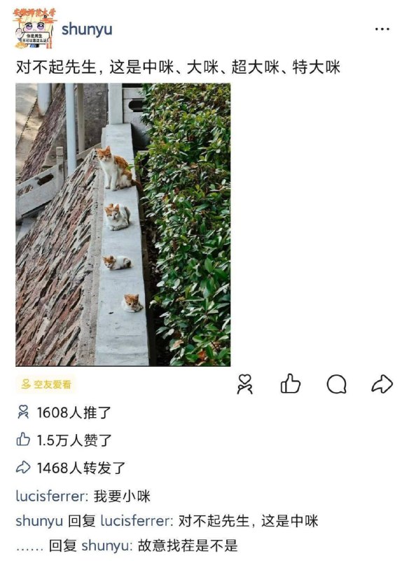 from 每日无数猫