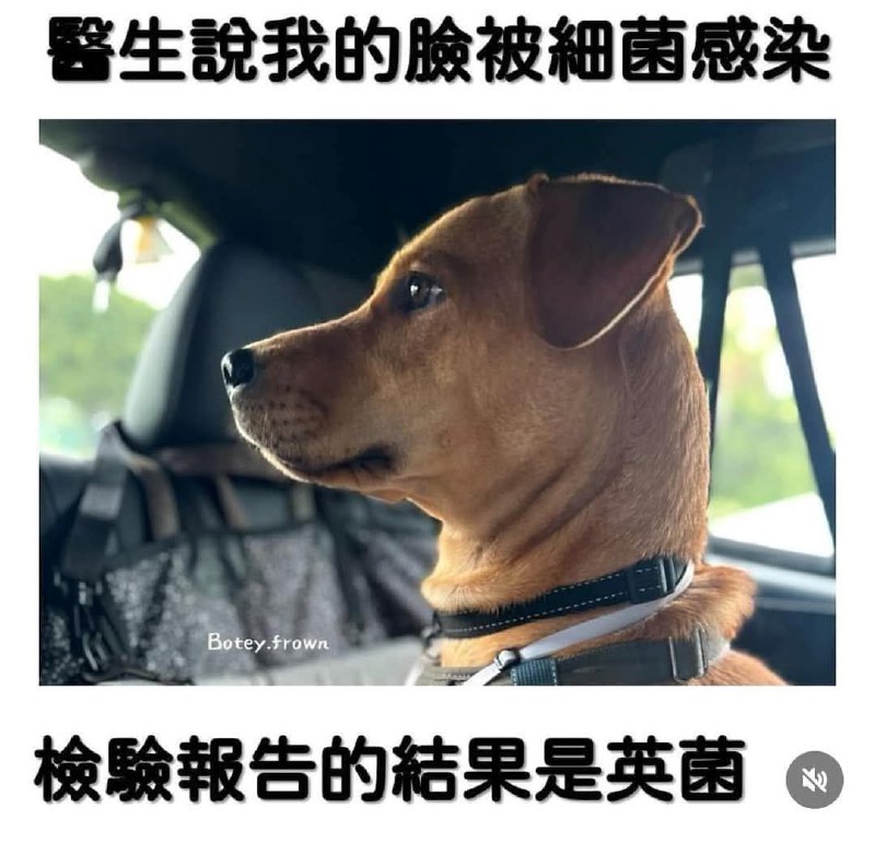 from 什麼都來點 via DECADE