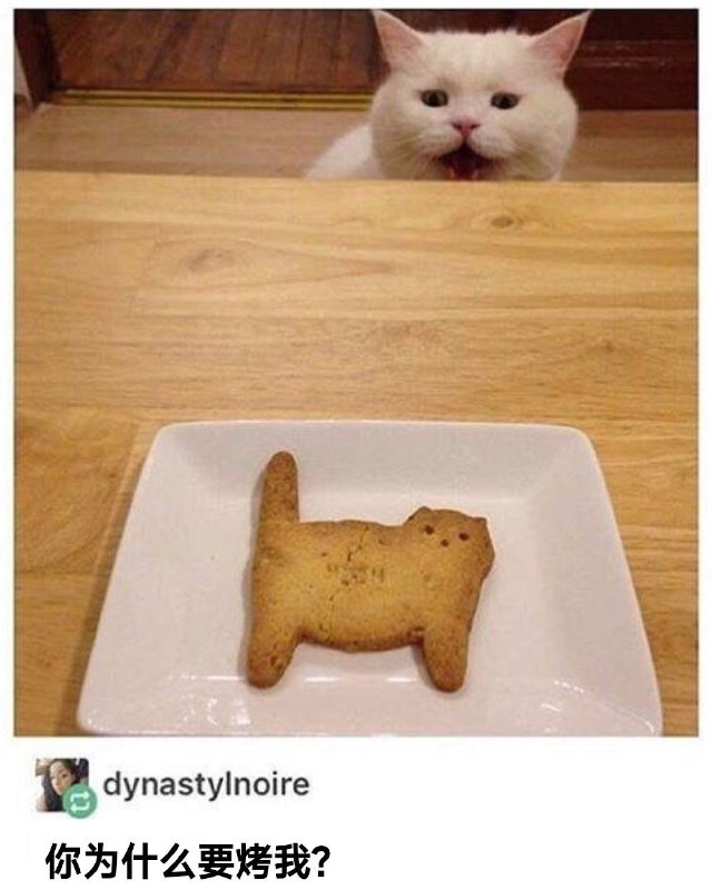 via 喵