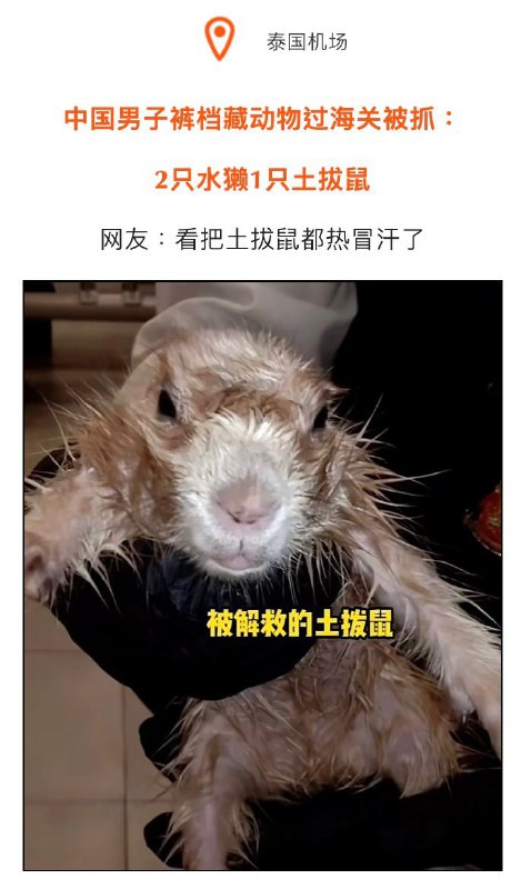 年度沙雕新闻via X年度沙雕新闻via X