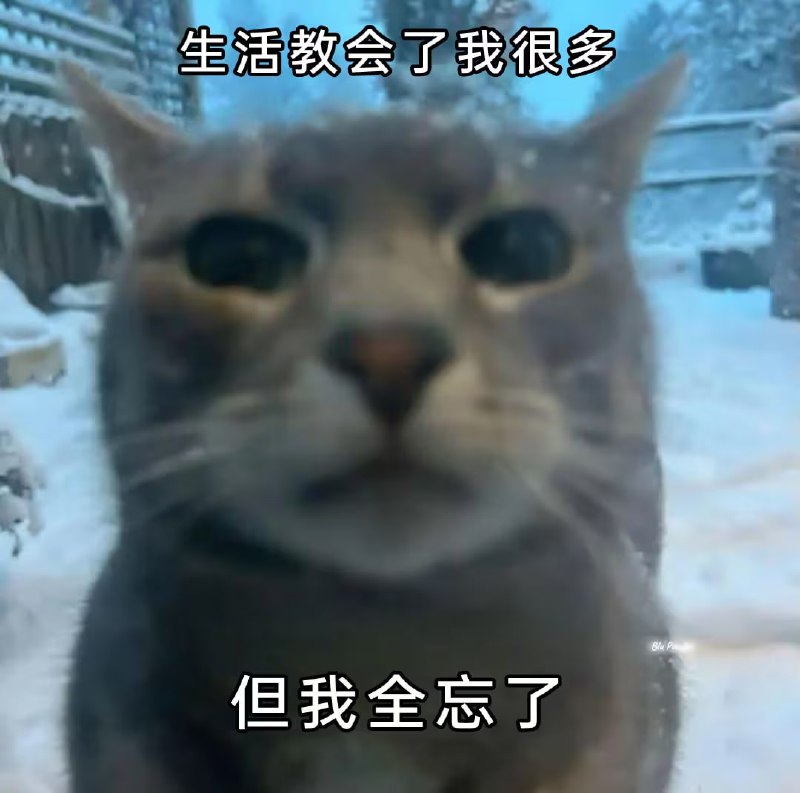 via 7号沙雕网友