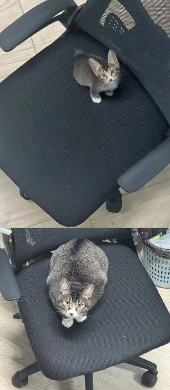 这一岁不到🤨via 伊 卡洛斯