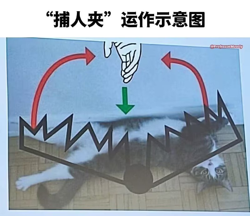 via 7号沙雕网友
