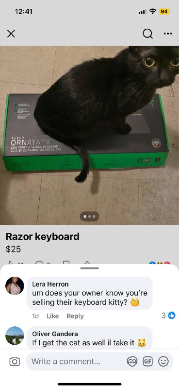 猫不错，摸摸.jpgvia Eric