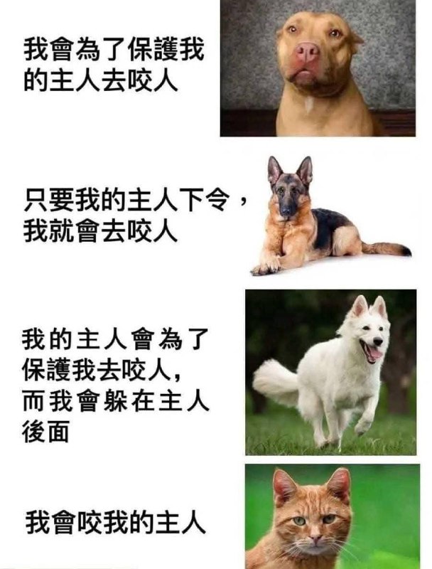 from 什麼都來點 via DECADE