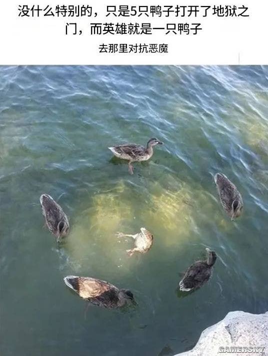 via 7号沙雕网友