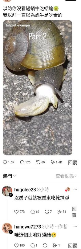 from 警察這裡有大麻🌿 via DECADE