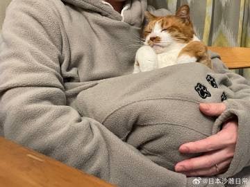 袋鼠×袋猫✓袋鼠×袋猫✓