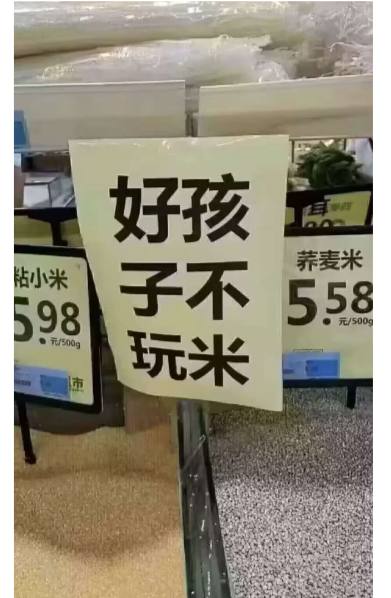 from 懒 羊羊